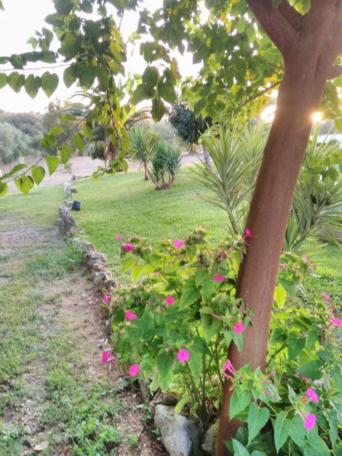 Quinta da Perdiz Country House Villa Santarém Esterno foto